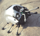 昆虫型ロボット『ワンダーボーグ』