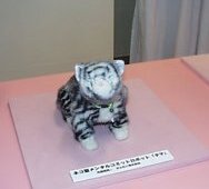 昨年よりすでにおなじみの猫型ロボット『タマ』。11月にオムロンからリリースされる予定という