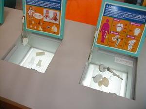 再生された骨や関節が展示された京大再生医科学研究所のブース