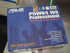 P5W64 WS Professional