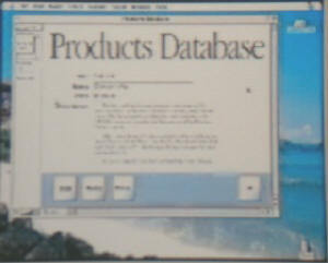  TCP/IP経由でのAppleScriptを使ったコラボレーションをデモした。サンフランシスコのMacで動作するこの製品データベースをNew YorkにあるMacのAppleScript小プログラムがアクセスし、製品カタログのレイアウトを全自動で行なった 