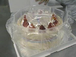 エアパッキンを巻きつける。ちなみに『いちごのショートケーキ』は、“横浜”ならではの味、名産品ということで、横浜の“ふるさと小包”にも認定されている