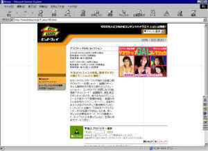 Bitwayのトップ画面。同サイトでは、現在はアイドルのグラビアなど12コンテンツが販売されている 