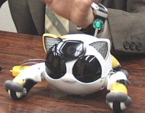 バンダイが3月13日に発表した自律型ロボット『BN-1』。飼い主とのコミュニケーションを図ることに重点をおいており、他のペットロボットと比べて、センサーの種類や行動パターン、目の表情パターンが多い。発売時期は2000年秋。価格は5万円以下で、インターネット販売のみで提供される