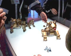 3月に開催された“2000東京おもちゃショー”に参考出展した『人間DOG』。来場者からは『なんで(本体の色が)金なの?』という問いが多かったとか。「金色よりもブルーのほうが部屋のインテリアにマッチするんですよ。金色だと妙に目立って、浮いてしまうでしょう?」(桐迫氏)