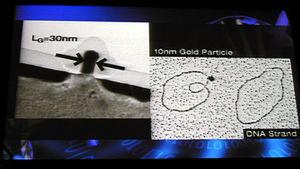 0.13μmプロセスで作ったトランジスタの写真と同じ縮尺で撮った、DNAや金の原子