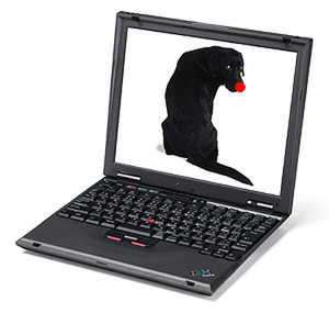 ThinkPad i Series 1620