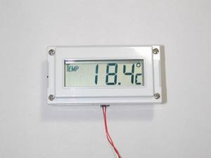 デジタル温度計で測定