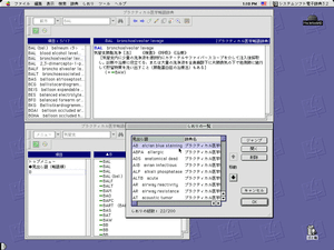 『プラクティカル医学略語辞典第4版Ver3.2』(Macintoshの画面)