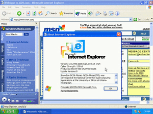 「Internet Explorer 6.0」（Build 2495）