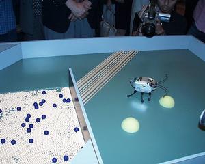 虫型ロボット競技