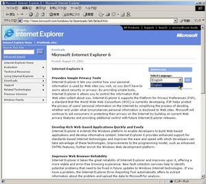 画面1　Microsoft Internet Explorer 6のWebサイト