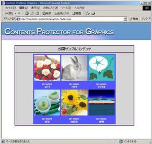 Contents Protector for Graphicで作成したコンテンツ。ウェブサイト上ならば写真を閲覧できる