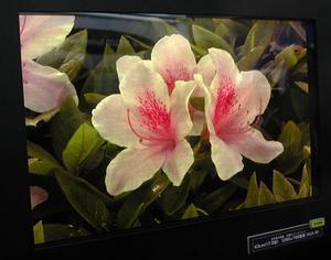東芝松下ディスプレイテクノロジーが展示して注目を集めた17インチのカラー有機ELワイドディスプレー。1280×768ピクセルと解像度も高い