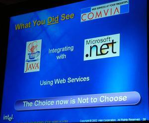 Javaと.NETはウェブサービスにおいては競合するものではないという