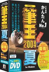 DVD-ROM版