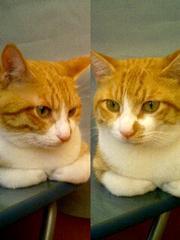 カップリングショット作例