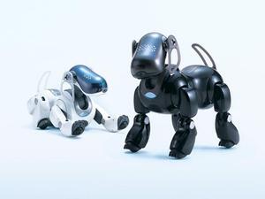 ASCII.jp：ソニー、“AIBOマインド2”を搭載した犬型ロボット“AIBO”『ERS