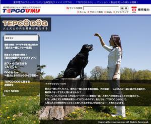 TEPCO DOGのトップページ