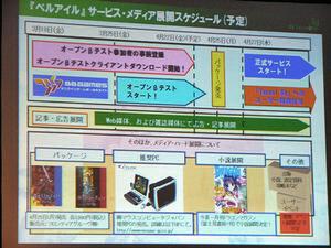 ゲームのサービスだけでなく、(株)角川書店のファンタジー小説誌『ドラゴンマガジン』での小説展開なども予定されている