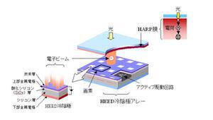 HEED冷陰極HARP撮像板の構造図