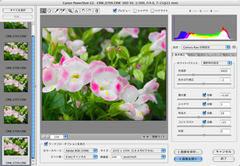 Photoshop CS2でCamera RAWファイルを必要な数だけ同時に開いて、複数同時処理ができる