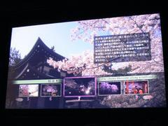 HD DVDソフト第1弾として登場した、(株)ポニーキャニオンの『夜桜』。HD品質の高精細な映像で、日本各地の桜の銘木を鑑賞できる。HD DVDのベンチマーク的ソフトとしての価値もある