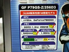 GF P79GS-Z/256D3