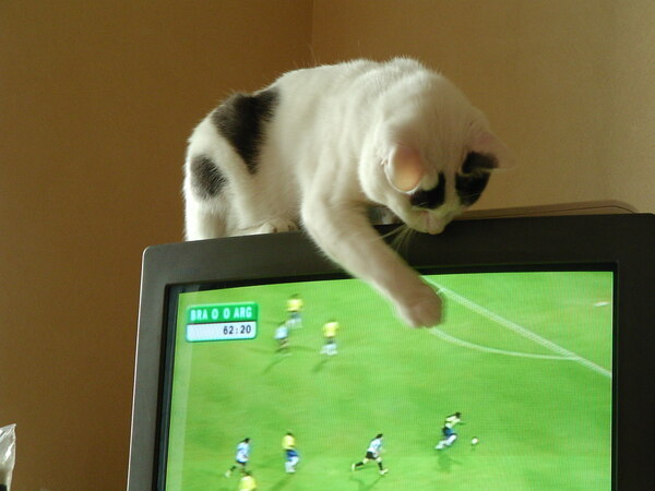 画面にちょっかい