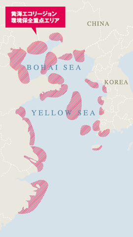 黄海エコリージョンは、黄海、渤海、東シナ海の一部を含めた約46万平方キロメートルの海域を、生物多様性を維持するための活動を行うエリア