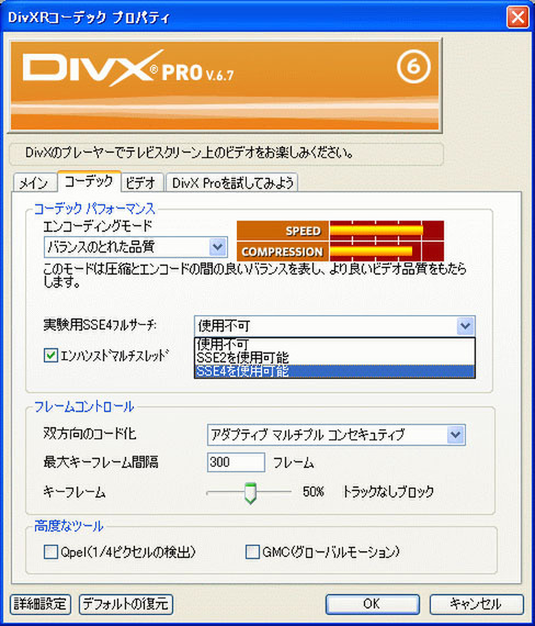 「DivX 6.7」の設定パネル