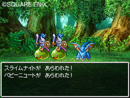 DQ5