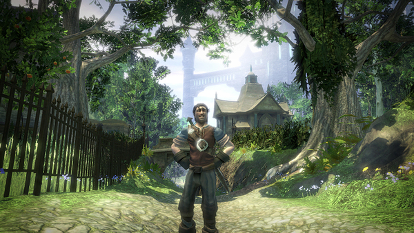 Fable2