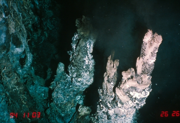 煙突のように突き出した「チムニー」と呼ばれる地形。熱水噴出孔の周囲には特異な生態系が形成されている（提供:JAMSTEC）