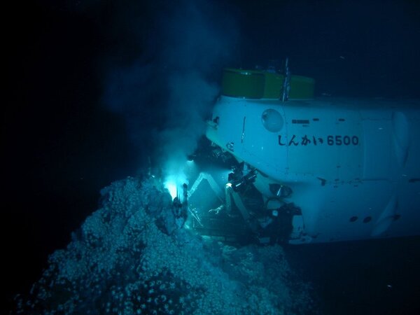光が届かず、なおかつ超高圧の深海では地上や浅海とは違う生態系が展開されている（提供:JAMSTEC)