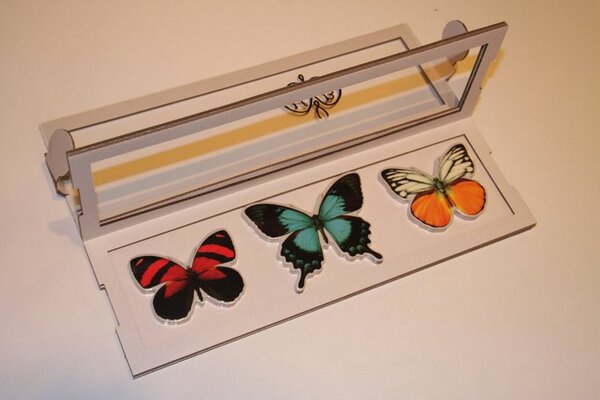 簡単なパズル箱のような標本箱を開くと蝶の付箋を取り出せる