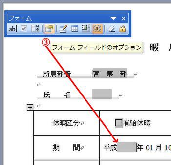 フォーム フィールドのオプションを設定