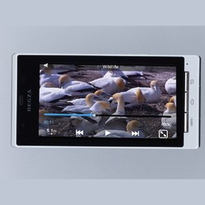 Ascii Jp Androidスマホは万能動画プレーヤーになれるのか 1 2