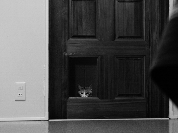 扉の中に猫がっ、いや、よく見ると扉の一部がくりぬいてあるのである。猫は出入り自由。モノクロモードで撮影