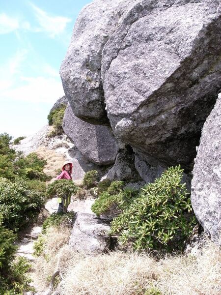 黒味岳山頂の巨大岩。横にいる人とサイズを比べてみてください