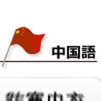 中国向けSEO、翻訳者には出来ない売れるツボ