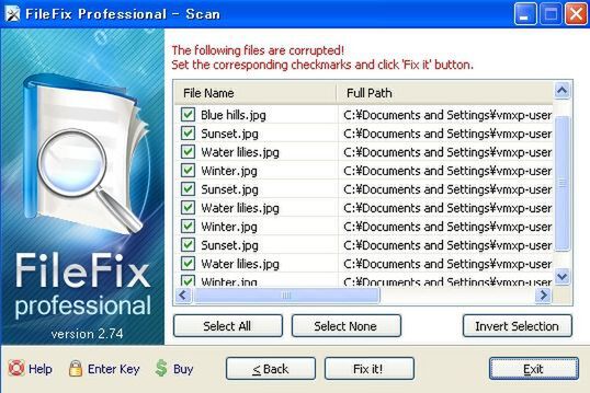 FileFix professional