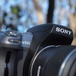 ASCII.jp：秒間7コマ連写が可能なデジタル一眼「α550」登場