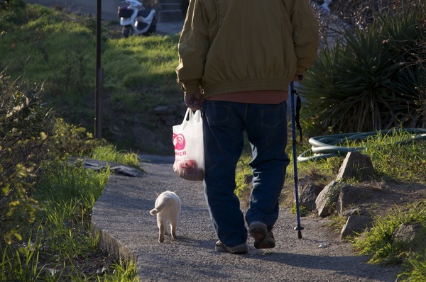 狭い尾根の路地をおじさんと歩いていく猫の黄昏後ろ姿（2009年12月 Nikon D90）