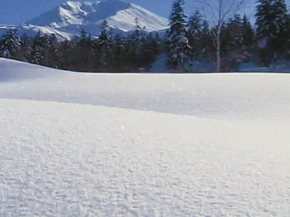 ドキュメンタリー番組での、雪山の場面。すっきりと見通しの良い映像で、ちょっと見ただけでは8.5倍の長時間モードとは思えないほど高精細だ