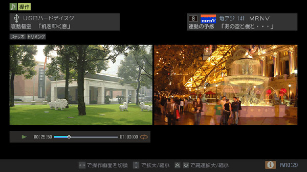 2画面表示は従来からあるが、新機種では録画した番組を再生しながら、現在放送中の番組を視聴できるようになった。さらにウェブページや外部入力の映像も表示できる