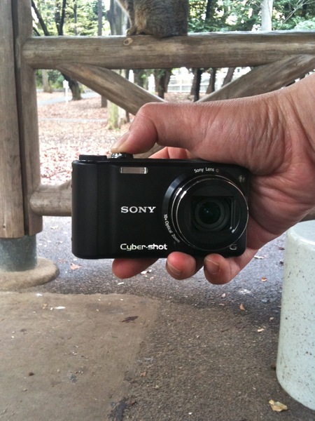 膝猫を撮るときはこんな風にカメラを逆に持って親指でシャッターである（2010年4月 アップル iPhone 3GS）