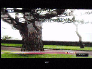 通常（2D）の映像を3Dテレビで無理やりサイド・バイ・サイド方式で表示するとこうなる。画面を半分に切って横に引き伸ばしたものが高速で交互に表示される