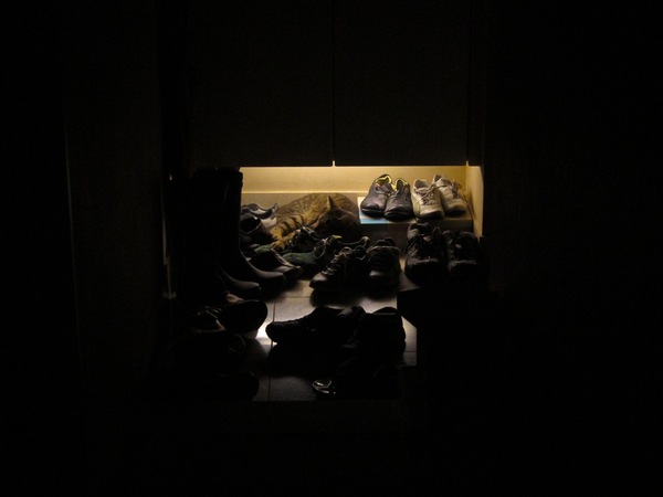 真っ暗な廊下の奥にぽつんと寝てるかふか。って、普通、気づかないってば（2010年9月　キヤノン Powershot S95）