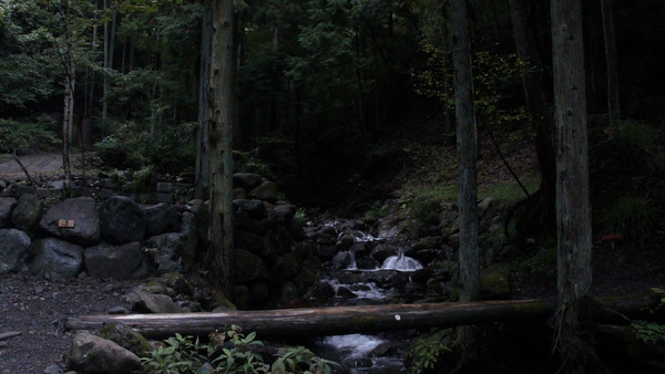 再びキャンプ先で、森の中の小川を撮影。ゲインを手動で15dBまで絞っているため、見た目以上に暗い映像になってしまったが、ノイズ感はある程度抑えられた